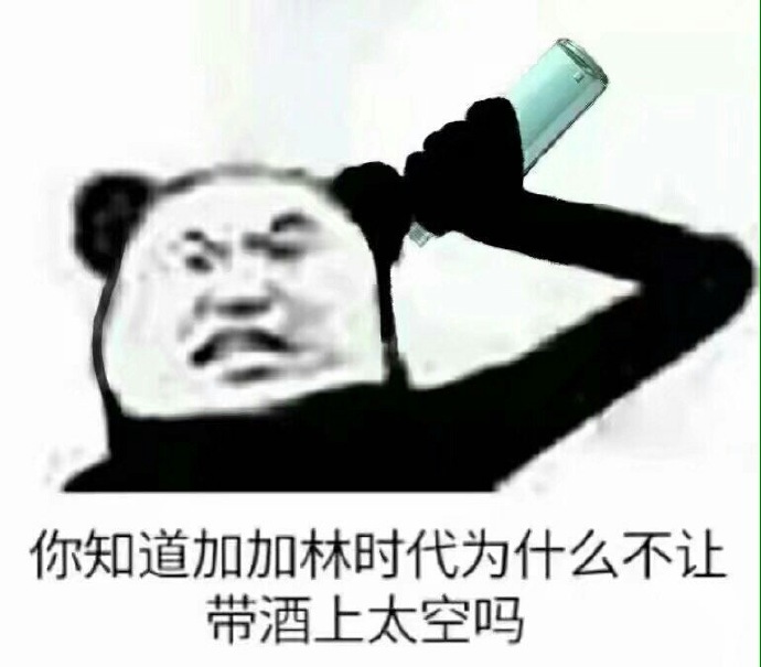 流浪地球 搞笑 文字表情包 电影 熊猫头