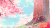 日本 樱花 美景 漂亮