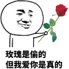 玫瑰是偷的但我爱你是真的 斗图 搞笑 玫瑰花