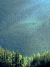 森林 forest