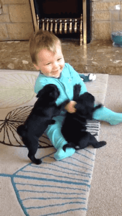 婴儿 狗狗 一起玩耍 可爱