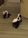 可爱 搞笑 萌娃 爬