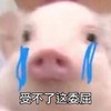 萌宠 小猪 受不了这委屈 难受 搞怪 逗