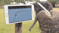 大象 画画 平板电脑 可爱的