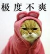 猫咪 萌萌哒 可爱 极度不爽