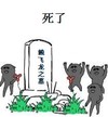 金馆长 坟墓 绿草 死了