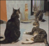 猫咪 可爱 呆萌 吓死宝宝了