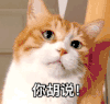 萌宠 猫星人 你胡说 生气 委屈
