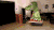 恐龙 创意 手工制作 3D效果