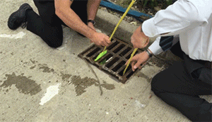 小鸭子掉到排水道里面， 男子用渔网将其救出 可爱 开心