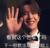肖战 王一博 博君一肖 陈情令 文字表情包