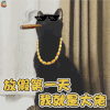 萌宠 猫咪 喵星人 国庆 国庆节 放假 我就是大佬 soogif soogif出品