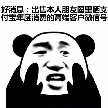 支付宝年度账单 支付宝 soogif soogif出品