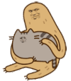 金馆长 抱猫猫 抚摸 抓抓 挠痒痒 吃瓜