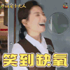 萌宠小大人 刘涛 笑到缺氧 开心 soogif soogif出品