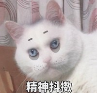 萌宠 猫星人 精神抖擞 我不困 搞怪 可爱