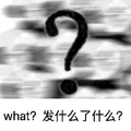 what发什么了什么 问号 斗图