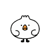 懵逼 斗图 搞笑 小鸡 可爱