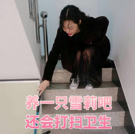 可爱 小姐姐 崔雪莉 文字表情包 萌萌哒
