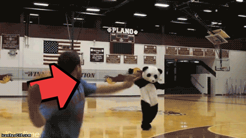 人偶 体育馆 砸 熊猫 panda