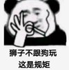 暴漫 文字表情包 狮子不跟狗玩 这是规矩 搞笑 逗 沙雕