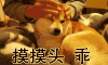 萌宠 乖巧 抚摸 听话