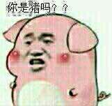 张学友 恶搞 搞笑 你是猪吗