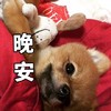 晚安 早睡