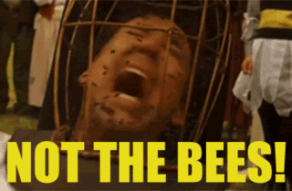 蜜蜂 抓狂