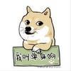 我叫单身狗 卡片 可爱 逗比