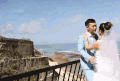 结婚 浪漫 亲吻 美景
