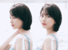 美女 秀智 国民初恋 小姐姐