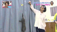 猫咪 可爱 爬