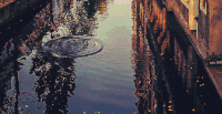 风景 水面 波纹 摇晃