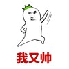 我又帅 斗图 滑稽 搞笑