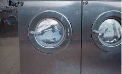 Coldplay MV UpUp 创意 游泳 滚筒洗衣机