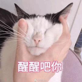 醒醒GIF表情图_哭泣表情_醒醒GIF动图-SOO类似颜可爱醒醒的动态包图片