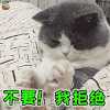 萌宠 猫咪 猫 拒绝 不要 soogif soogif出品