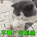萌宠 猫咪 猫 拒绝 不要 soogif soogif出品