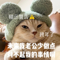 萌宠 猫星人 暗示警告 跨年 搞怪 逗