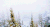 山 暴雪 树木 白雪皑皑 自然 mountains nature