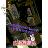 你看我萌么 美女 拍照