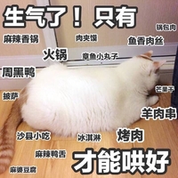 萌星人 搞笑 小猫 生气了只有麻辣香锅烤肉才能哄好