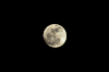 月亮 moon 恐怖 人脸 闪烁