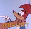 我警告过你了 恶搞 小鸟 欢乐