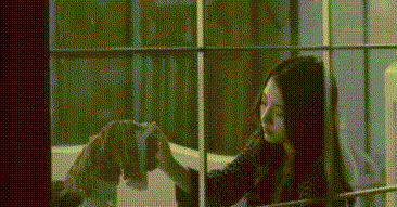 女神 性感 迷人 美女