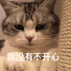 萌宠 猫星人 我没有不开心 无奈 呆萌 可爱