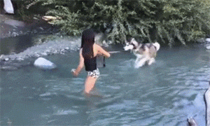 美女 狗狗 不下水 害怕