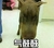 狗狗 大鼻子 生气 气鼓鼓