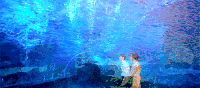 海底 湛蓝 凝视
